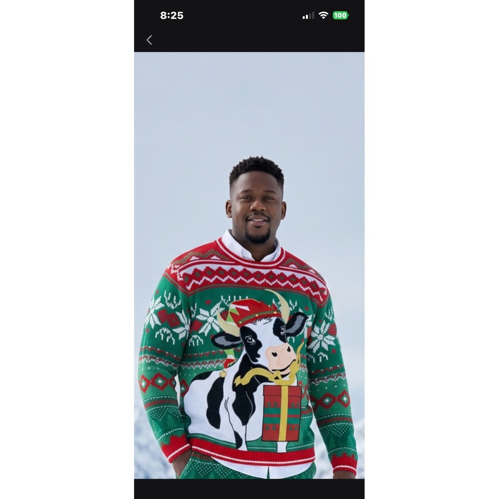 Holiday Time Mens Ugly Christmas Sweater Cow Elf Gift Green Red 3XL 54-56